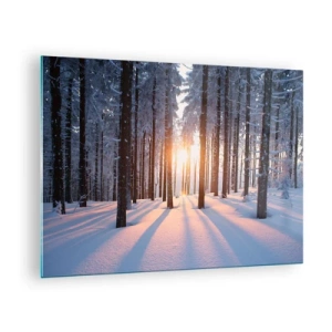 Quadro su vetro - Foresta invernale con raggi di sole che brillano attraverso gli alberi - 70x50cm - Decisamente nero su bianco - Decorazione murale moderna per soggiorno e camera da letto ARTTOR