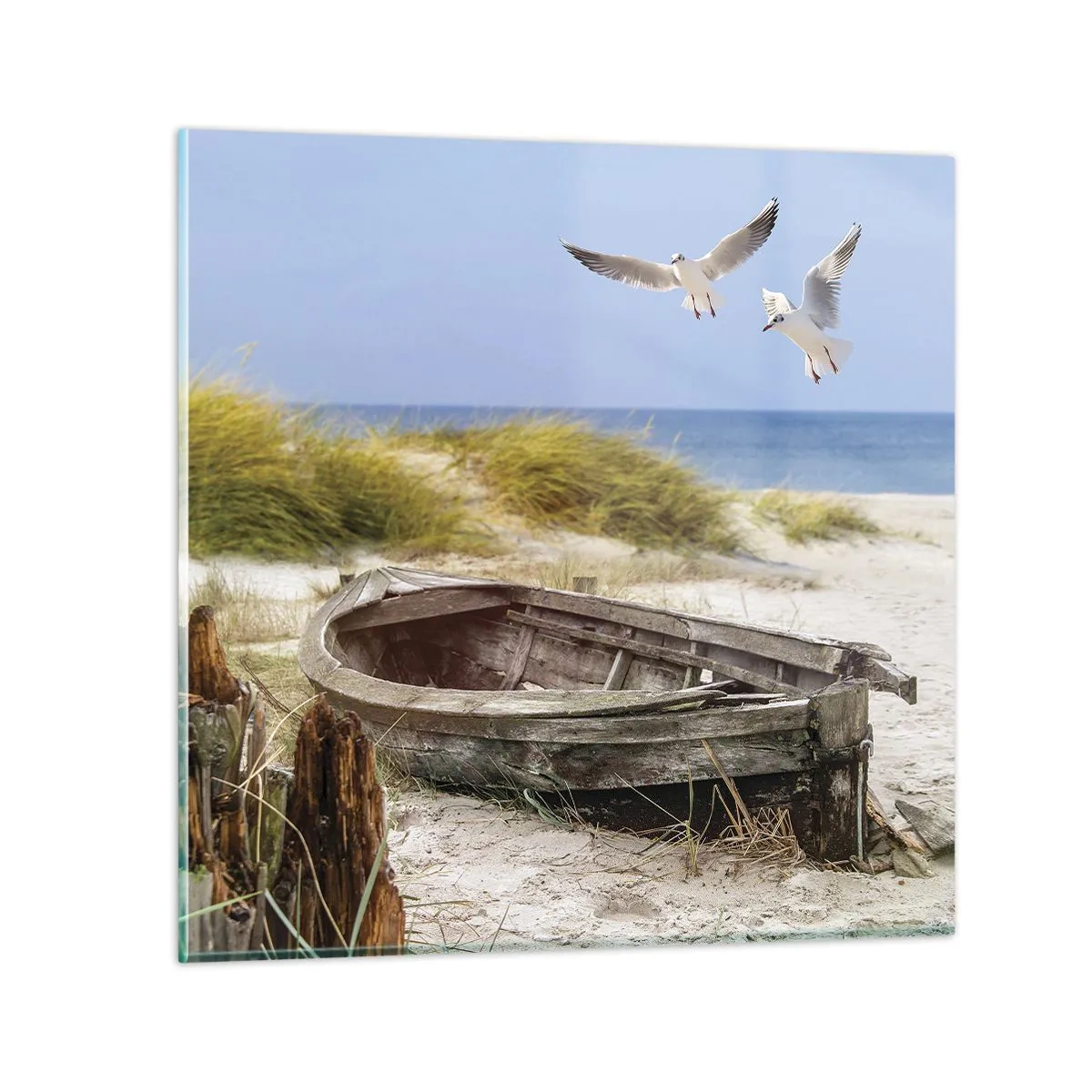 Quadro su vetro - Bagnate dal vento - 70x70 cm