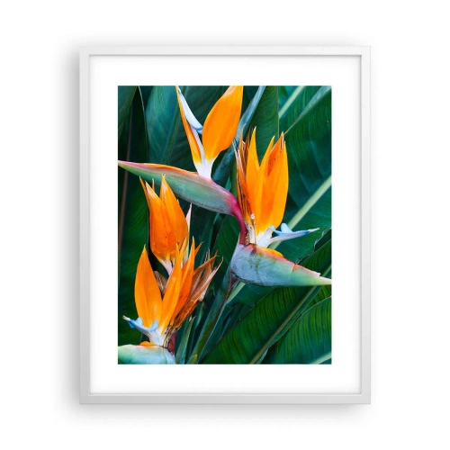 Poster in cornice bianca - È un fiore o un uccello? - 40x50 cm