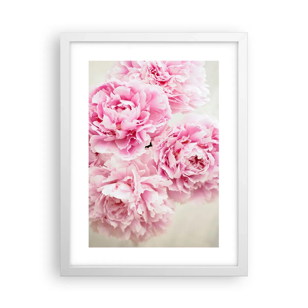 Poster in cornice bianca - Nel fasto rosa - 30x40 cm