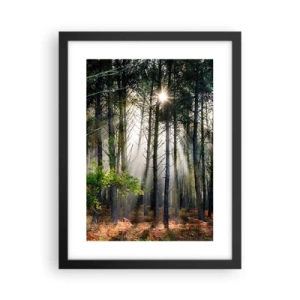 Poster in cornice nera - Zona boschiva - 30x40 cm