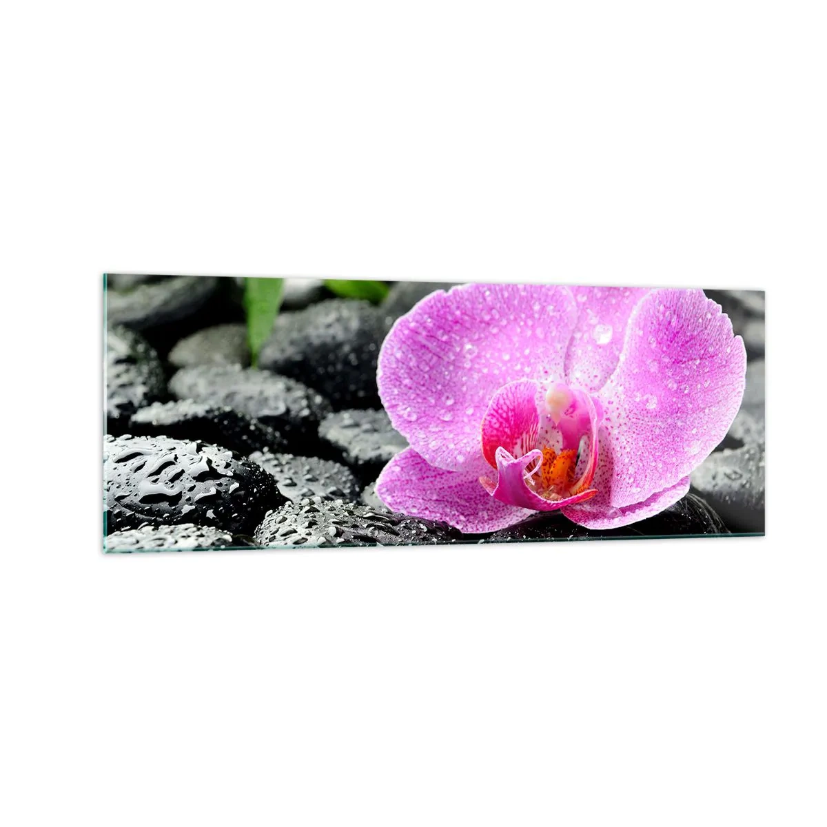 Quadro su vetro - Orchidea rosa su pietre nere bagnate con foglie verdi - 140x50cm - Come un cuore aperto - Decorazione murale moderna per soggiorno e camera da letto ARTTOR