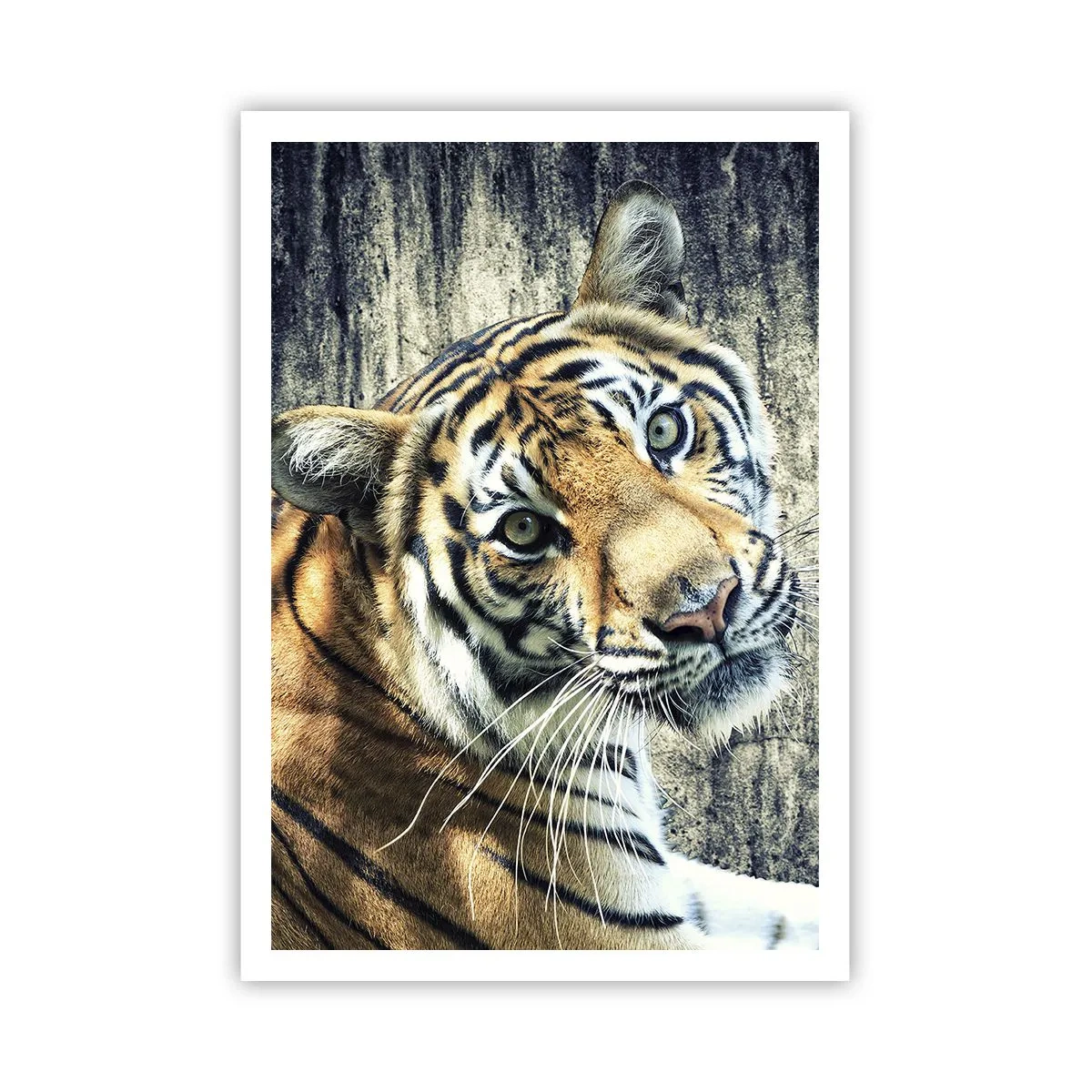 Poster - Ritratto nei flussi di luce - 70x100 cm