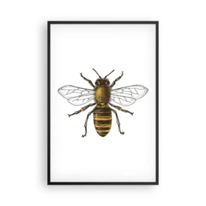 Poster in cornice nera - Bella e buona - 61x91 cm