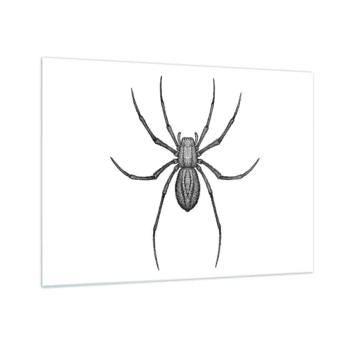 Quadro su vetro - Illustrazione in stile retrò di un ragno nero su sfondo bianco - 70x50cm - Precisione inquietante - Decorazione murale moderna per soggiorno e camera da letto ARTTOR