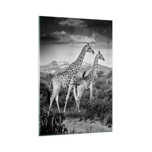 Quadro su vetro - Sagome in bianco e nero di due giraffe nella savana - 80x120cm - Alta classe in Africa - Decorazione murale moderna per soggiorno e camera da letto ARTTOR