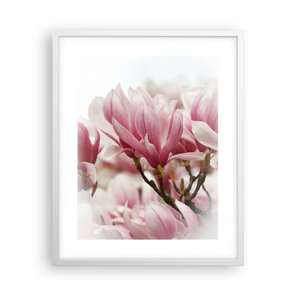 Poster in cornice bianca - Fiori di primavera - 40x50 cm