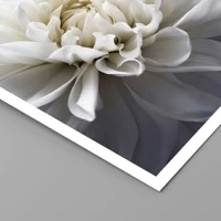 Senza cornice