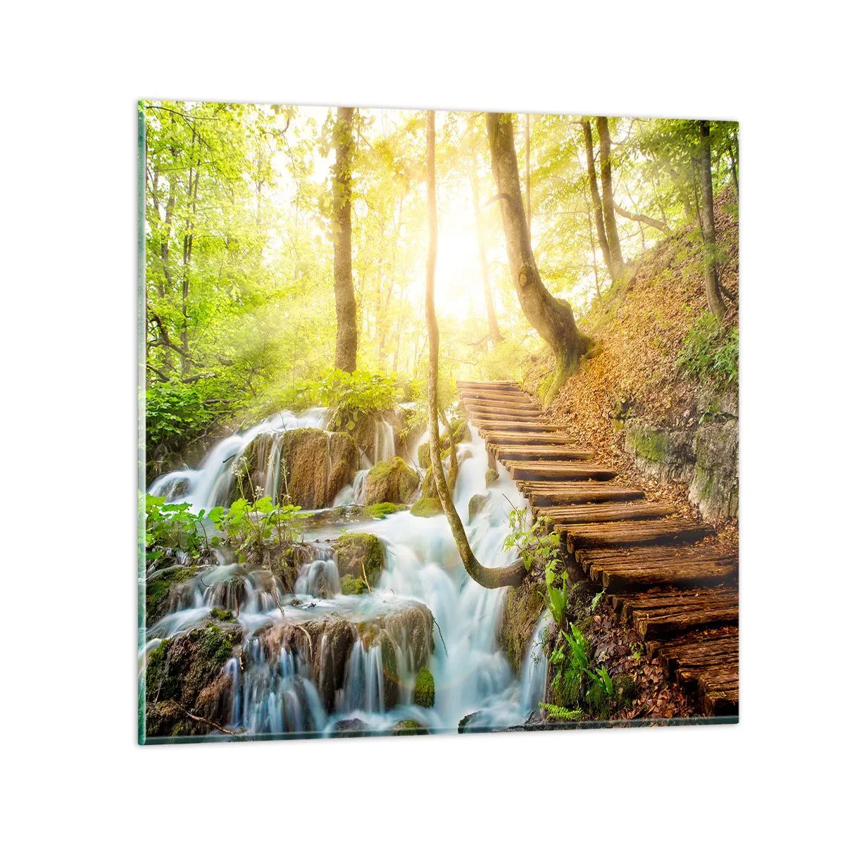 Quadro su vetro - Bramata freschezza - 30x30 cm