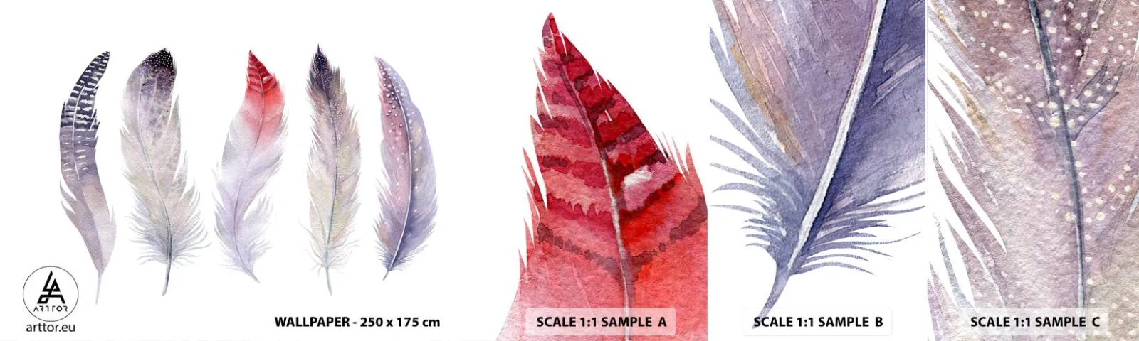 Campione Di Fotomurale Standard Eco - Delicate come una nebbia multicolore - Piuma di uccello, Boho, Grafica - 100x30 cm