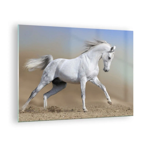 Quadro su vetro - Un cavallo bianco che galoppa sul terreno sabbioso - 70x50cm - La più bella favola araba - Decorazione murale moderna per soggiorno e camera da letto ARTTOR