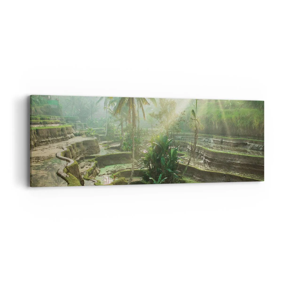 Quadro su tela - Stampe su Tela - Crescere al sole - 90x30 cm