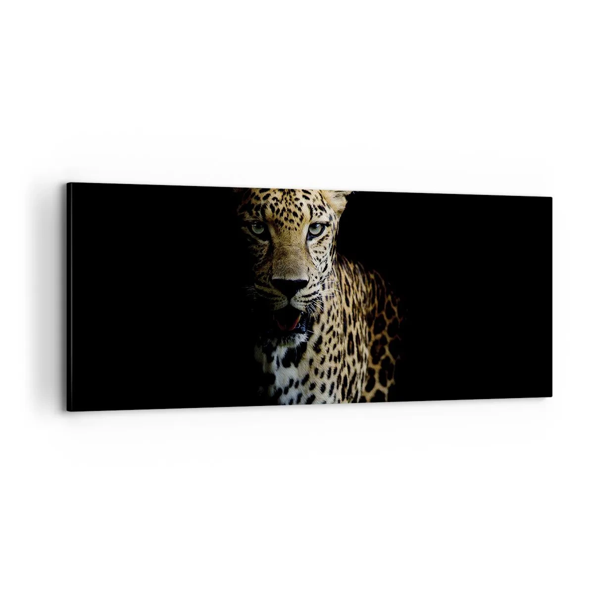 Quadro su tela - Stampe su Tela - Bellezza tenebrosa - 100x40 cm