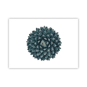 Poster - La stella del deserto - 70x50 cm