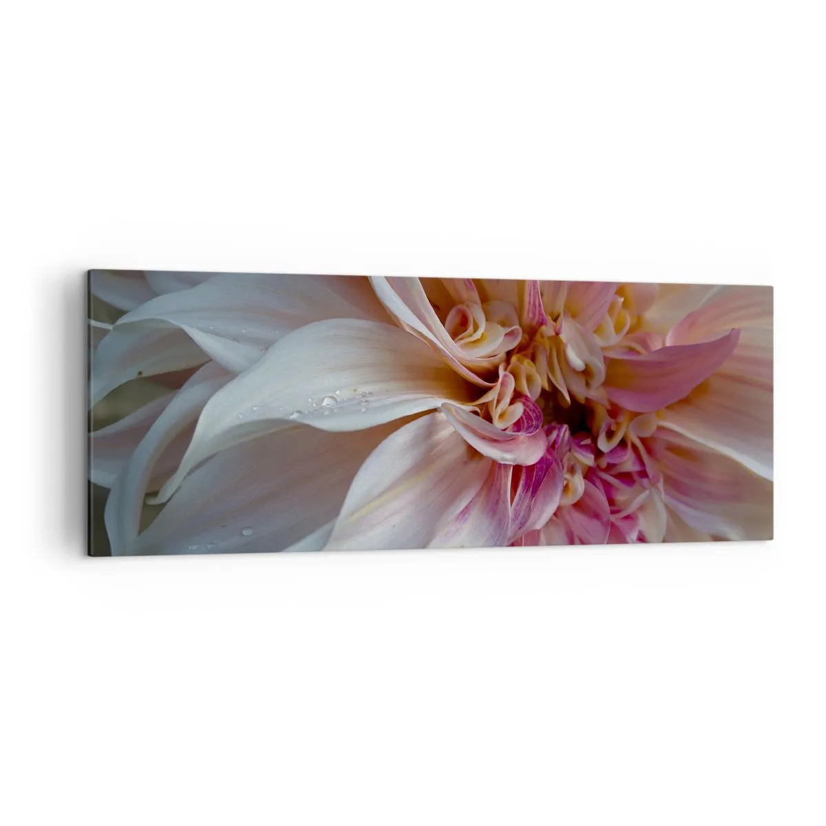 Quadro su tela - Stampe su Tela - Primo piano di delicati petali di fiori rosa con gocce d'acqua - 140x50cm - Freschezza in fiore - Decorazione murale moderna per soggiorno e camera da letto ARTTOR