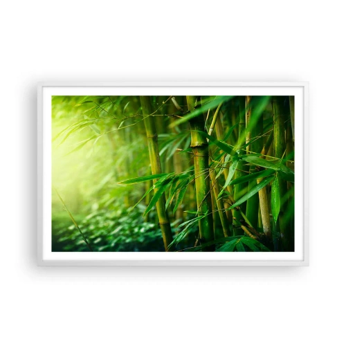 Poster in cornice bianca - Conoscere il verde in sé - 91x61 cm