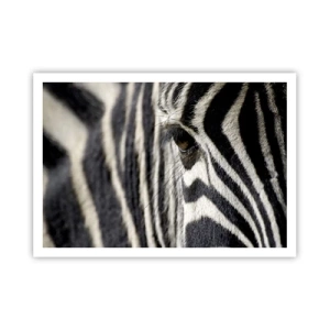 Poster - Primo piano dell'occhio di una zebra con strisce bianche e nere - 100x70cm - Ritratto a strisce - Decorazione murale moderna per soggiorno e camera da letto ARTTOR