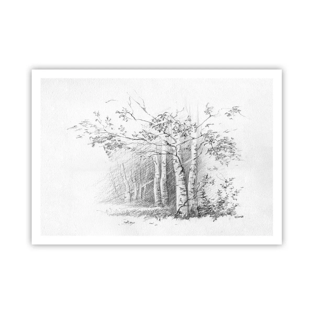 Poster - Un disegno di una foresta di betulle in un sottile schizzo a matita - 100x70cm - La luce della foresta di betulle - Decorazione murale moderna per soggiorno e camera da letto ARTTOR