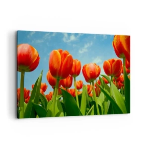 Quadro su tela - Stampe su Tela - Un campo di tulipani rossi e arancioni contro un cielo blu - 120x80cm - A loro non serve nulla oltre al cielo azzurro - Decorazione murale moderna per soggiorno e camera da letto ARTTOR
