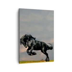 Quadro su tela - Stampe su Tela - Un cavallo oscuro in un salto dinamico contro il cielo - 50x70cm - Libero e bello - Decorazione murale moderna per soggiorno e camera da letto ARTTOR