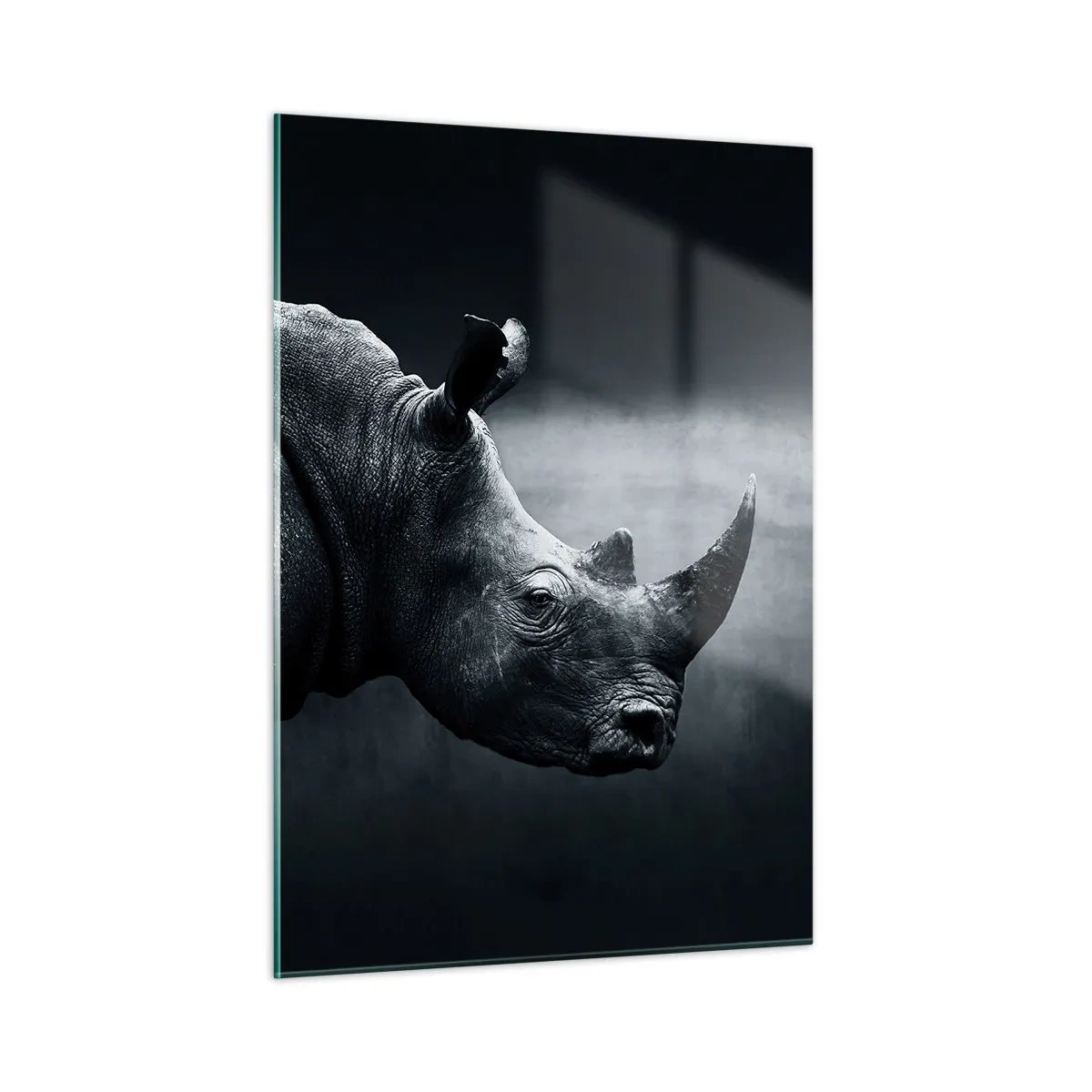 Quadro su vetro - Ripresa in bianco e nero di un rinoceronte - 50x70cm - Profilo destro - Decorazione murale moderna per soggiorno e camera da letto ARTTOR