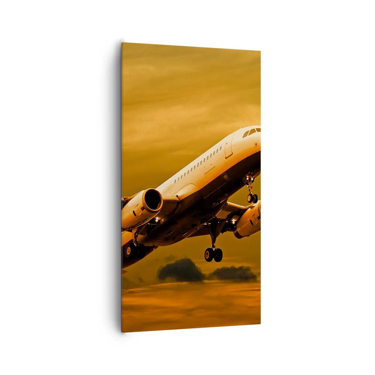 Quadro su tela - Stampe su Tela - In volo verso il sole - 65x120 cm