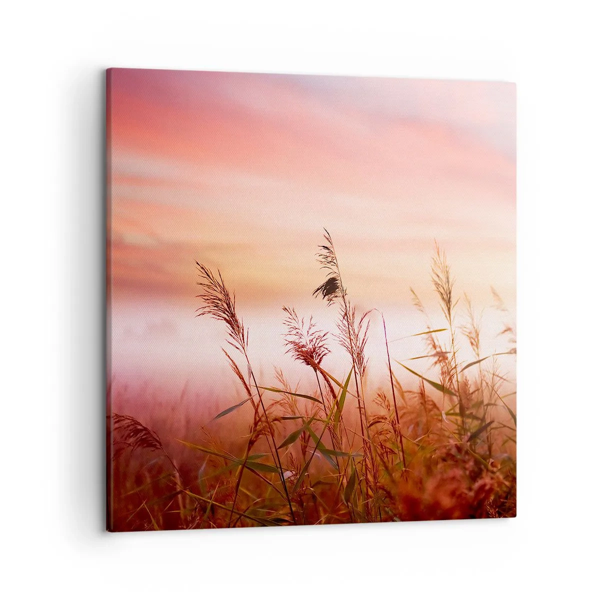 Quadro su tela - Stampe su Tela - Aquiloni, denti di leone, vento - 50x50 cm