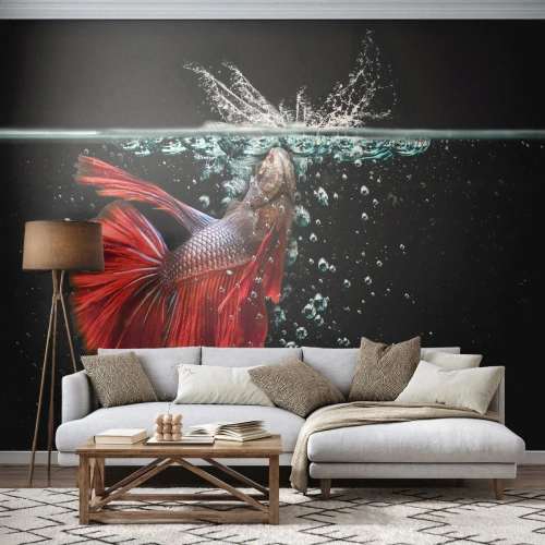 Fotomurali Premium Sand - Betta splendens in una ripresa subacquea dinamica - 100x70cm - Hai tre desideri - Decorazione murale moderna per soggiorno e camera da letto ARTTOR