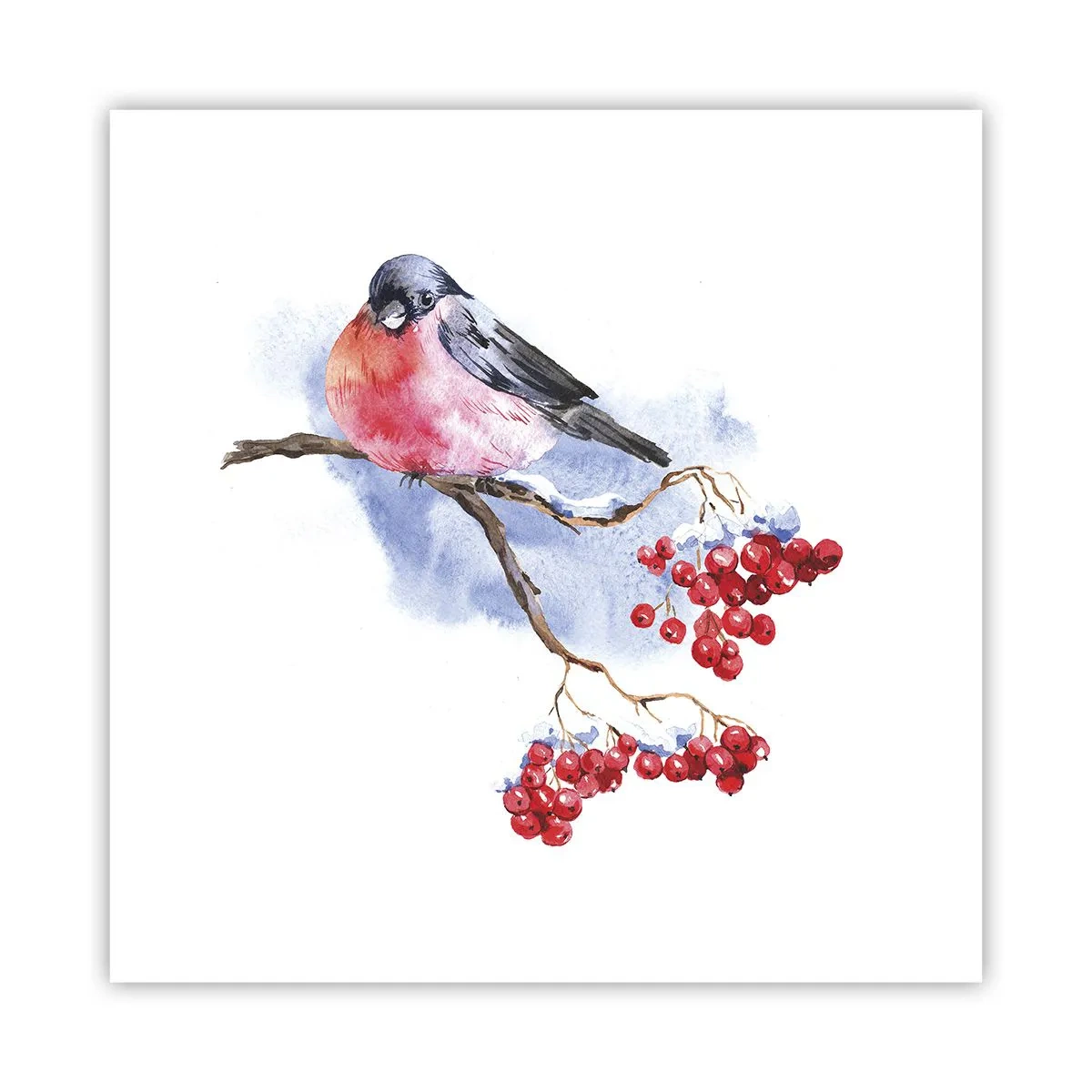 Poster - L'inverno a colori - 40x40 cm