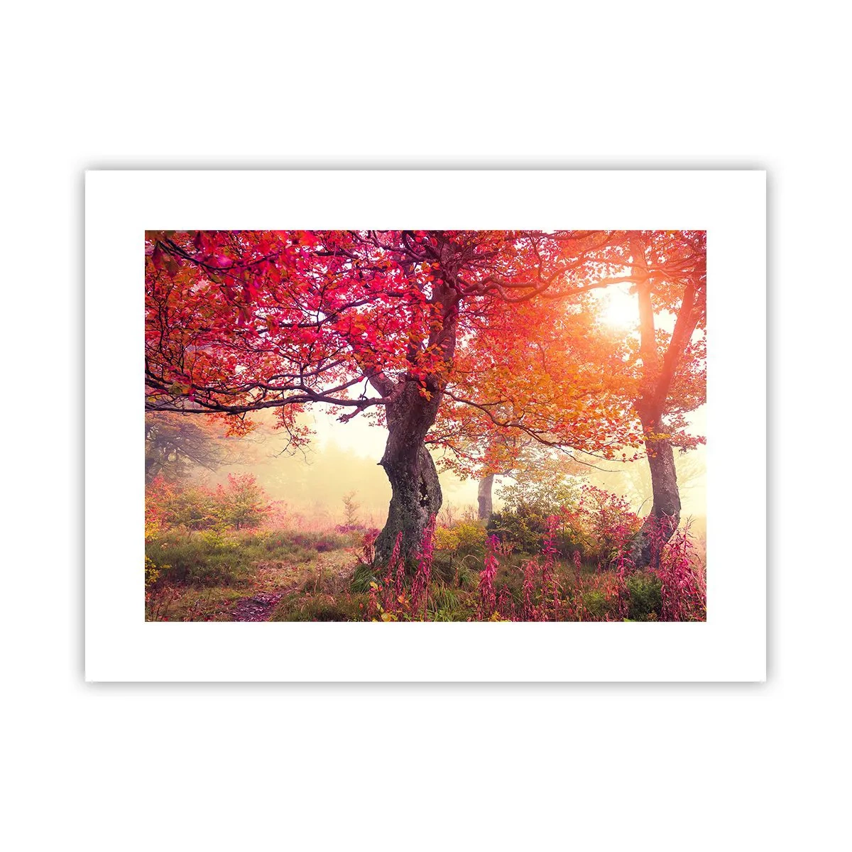 Poster - L'esplosione della fioritura - 40x30 cm