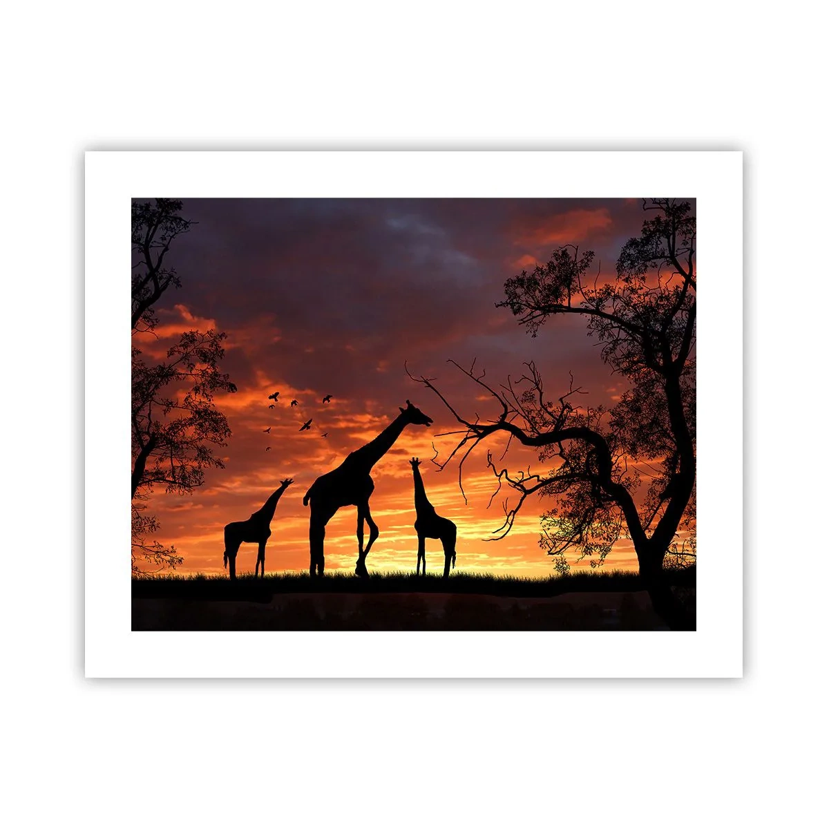 Poster - Piccola cena tra amici - 50x40 cm