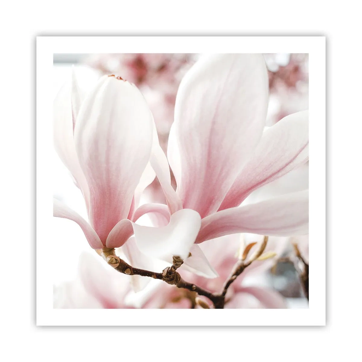 Poster - Tenerezza senza fine - 60x60 cm
