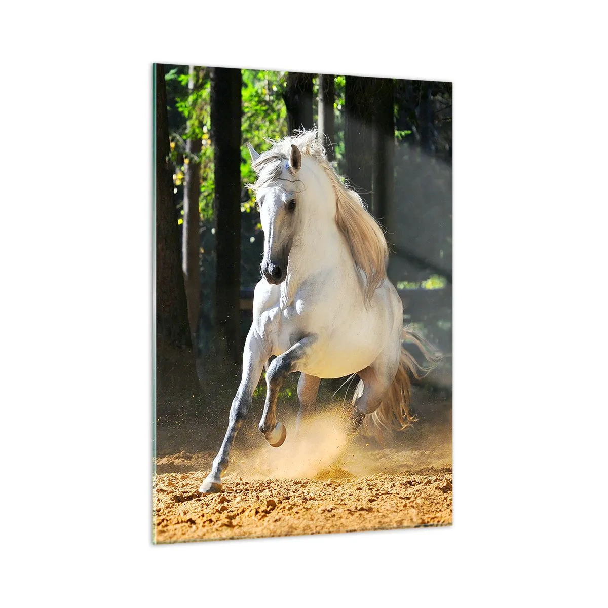 Quadro su vetro - Un cavallo bianco galoppa sul terreno sabbioso della foresta - 50x70cm - Come nei racconti fantasy - Decorazione murale moderna per soggiorno e camera da letto ARTTOR