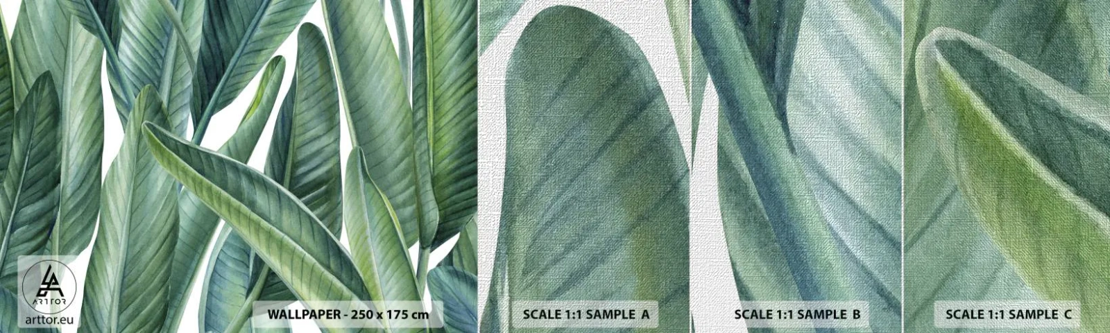 Campione di Fotomurale Premium Canvas - Il verde in sé - Foglie verdi, Pianta tropicale, Natura - 100x30 cm