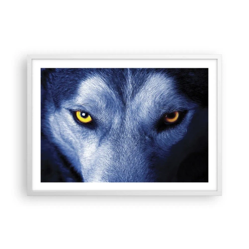 Poster in cornice bianca - Sguardo ipnotico - 70x50 cm
