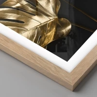 Rovere chiaro