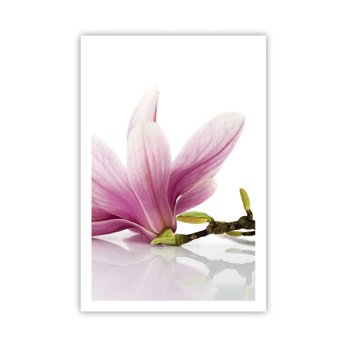 Poster - Delicati come un soffio di primavera - 61x91 cm