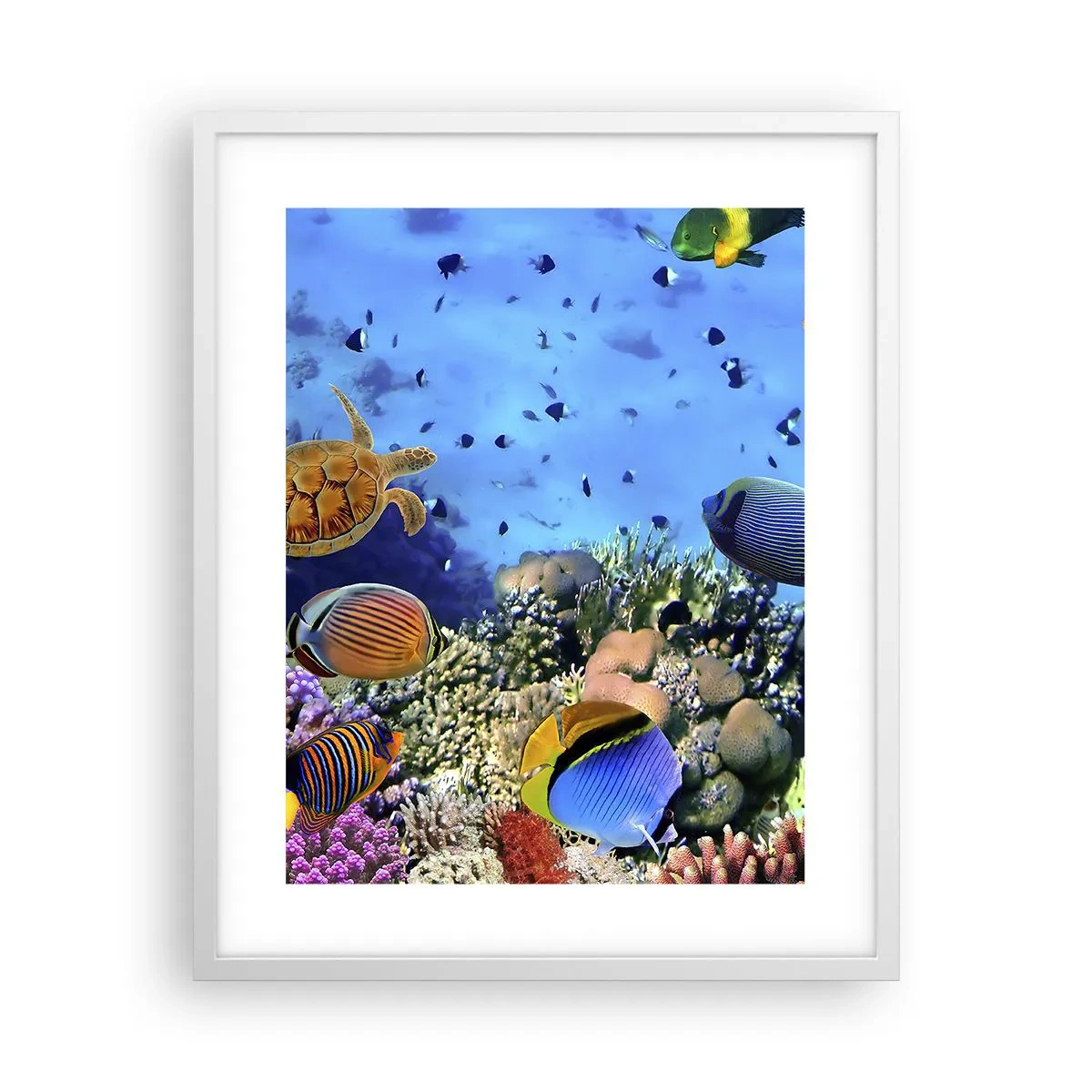 Poster in cornice bianca - Ma cosa sappiamo della vita... - 40x50 cm