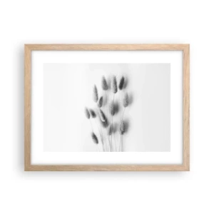 Poster in cornice rovere chiaro - Erba soffice - 40x30 cm