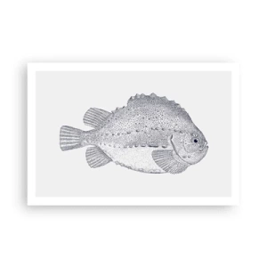 Poster - Nell'album del naturalista - 91x61 cm