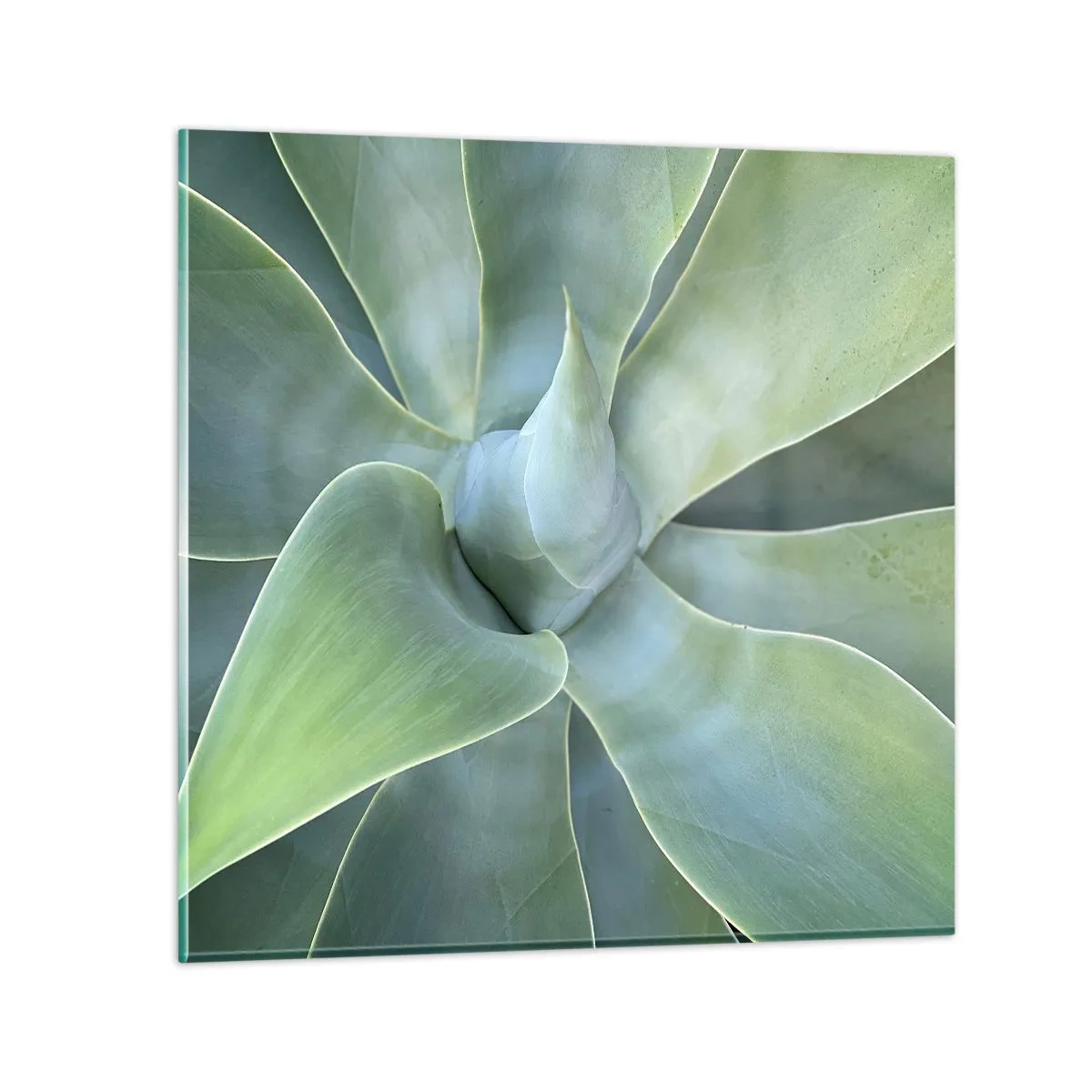 Quadro su vetro - La nascita del verde - 40x40 cm