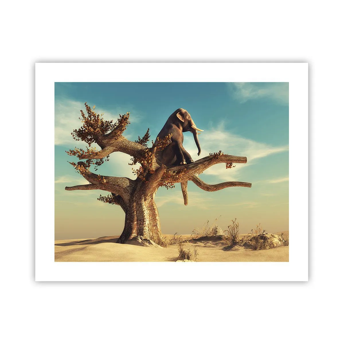 Poster - Nuovo punto di vista - 50x40 cm