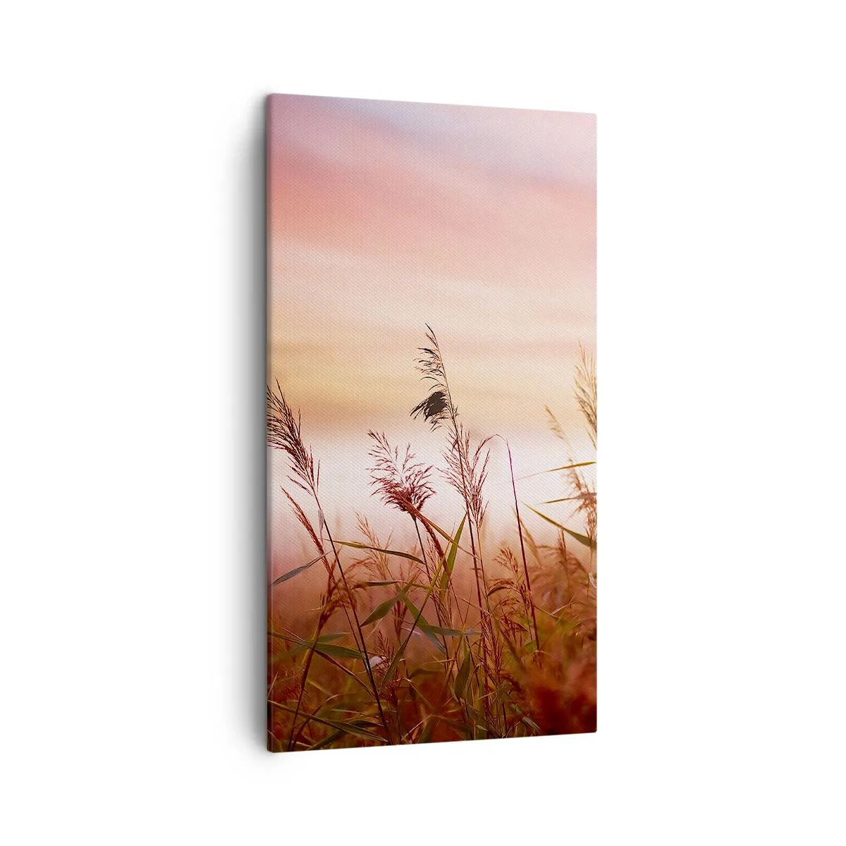 Quadro su tela - Stampe su Tela - Aquiloni, denti di leone, vento - 45x80 cm