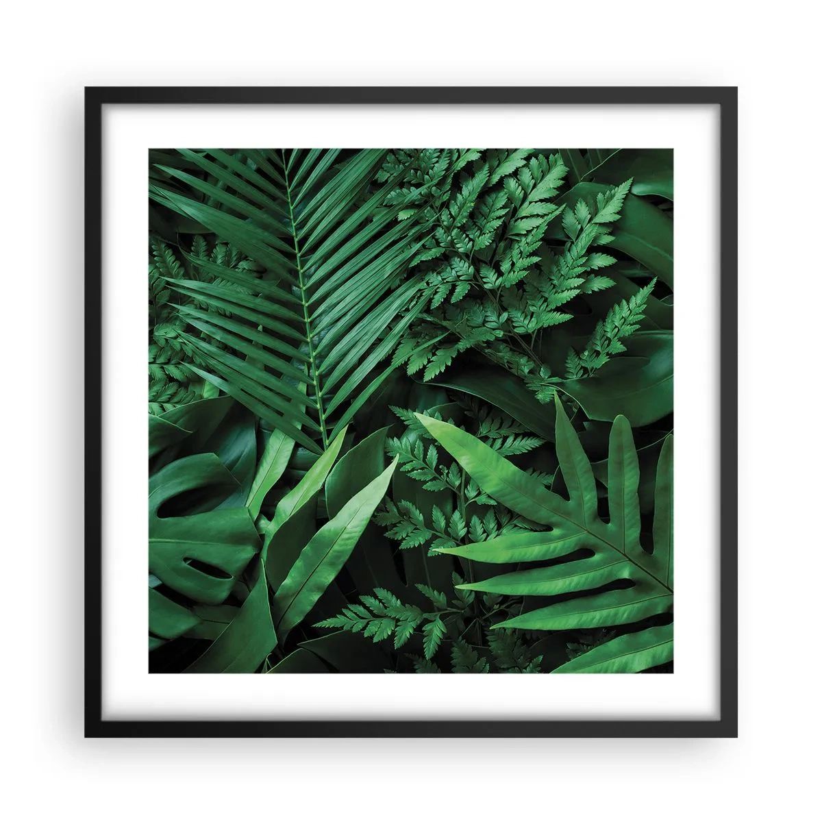 Poster in cornice nera - Avvolti nel verde - 50x50 cm