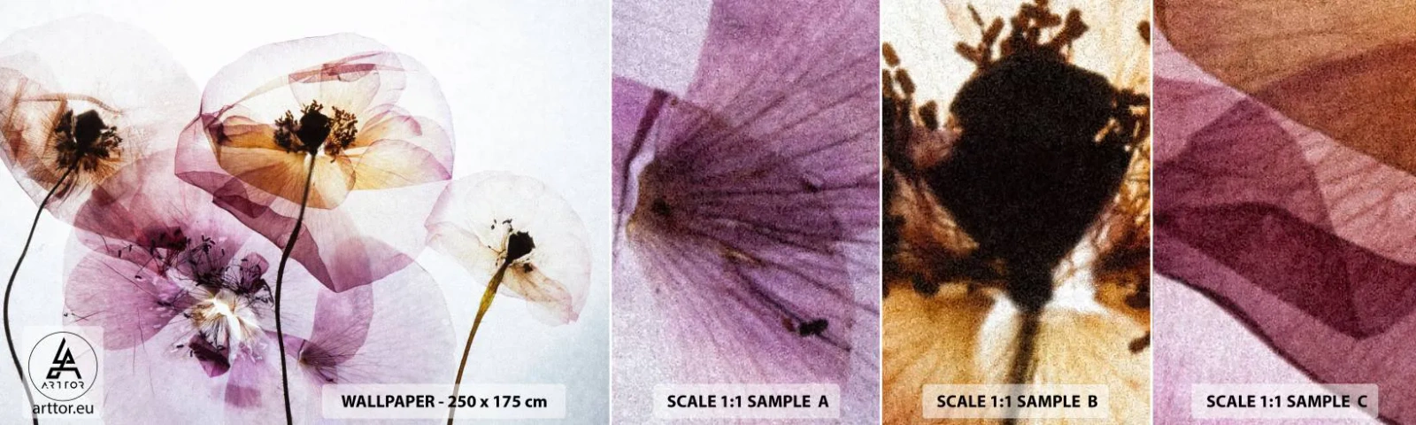 Campione di Fotomurale Adesivo Deluxe Sticker - Fiori trasparenti - Fiori, Giardino, Pezzo - 100x30 cm