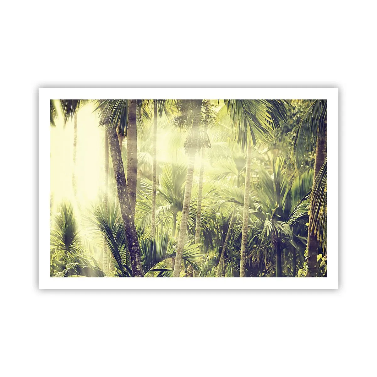 Poster - Nell'afa verde - 91x61 cm