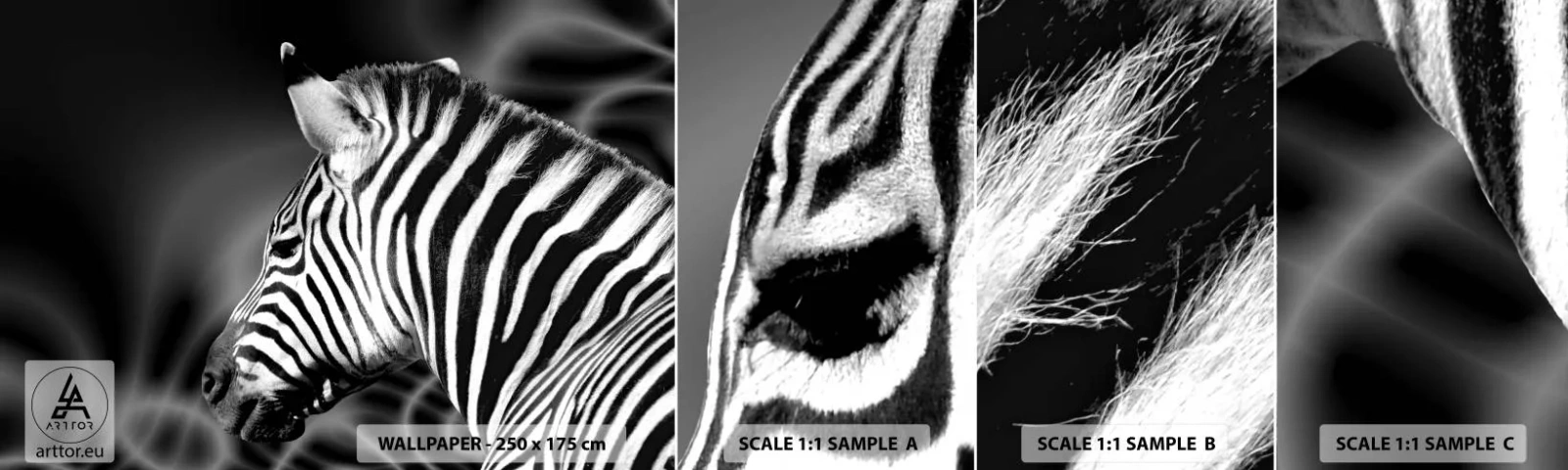 Campione Di Fotomurale Standard Eco - Il bianco è bianco, il nero è nero - Costolette, Bianco e nero, Animali - 100x30 cm