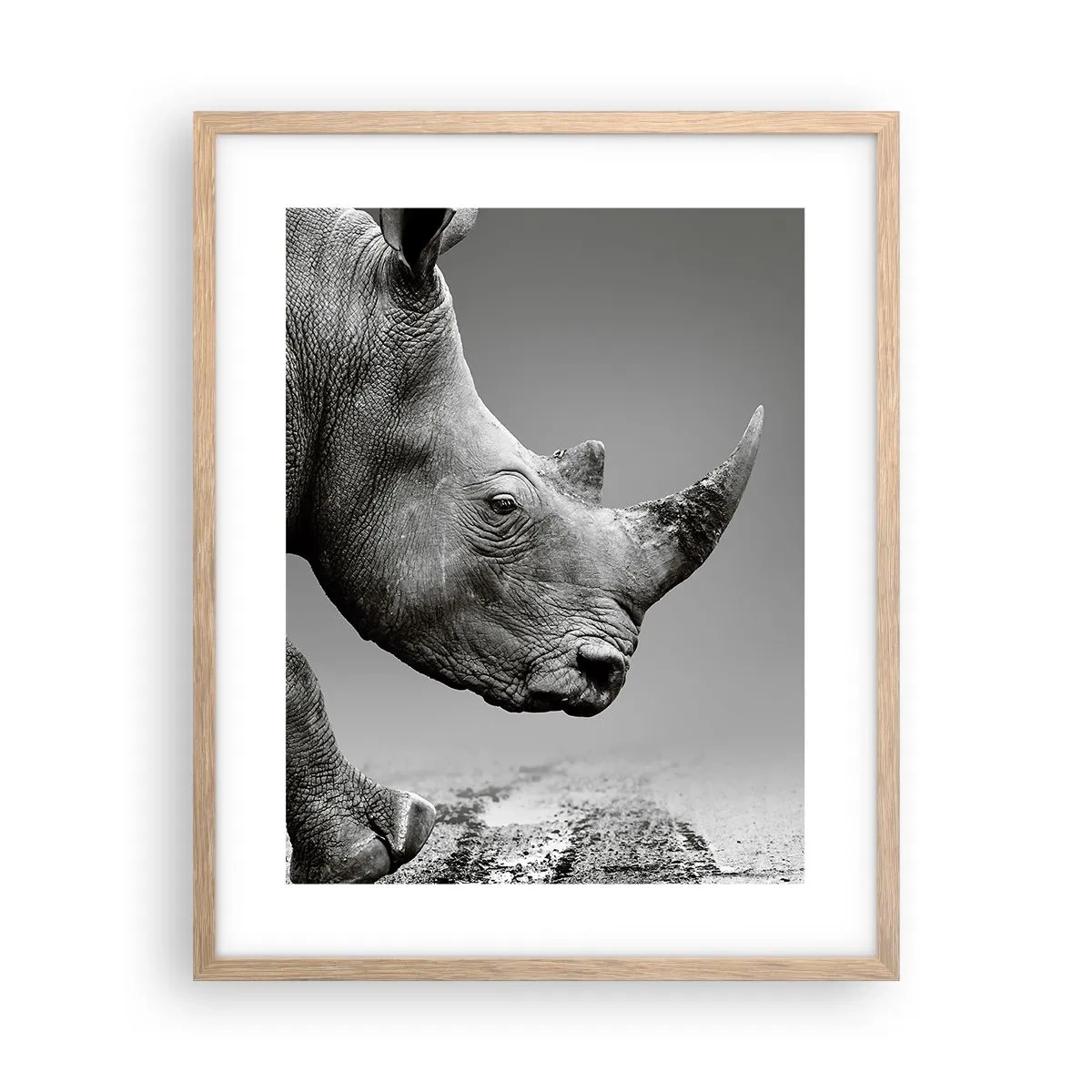 Poster in cornice rovere chiaro - Forza irrefrenabile - 40x50 cm