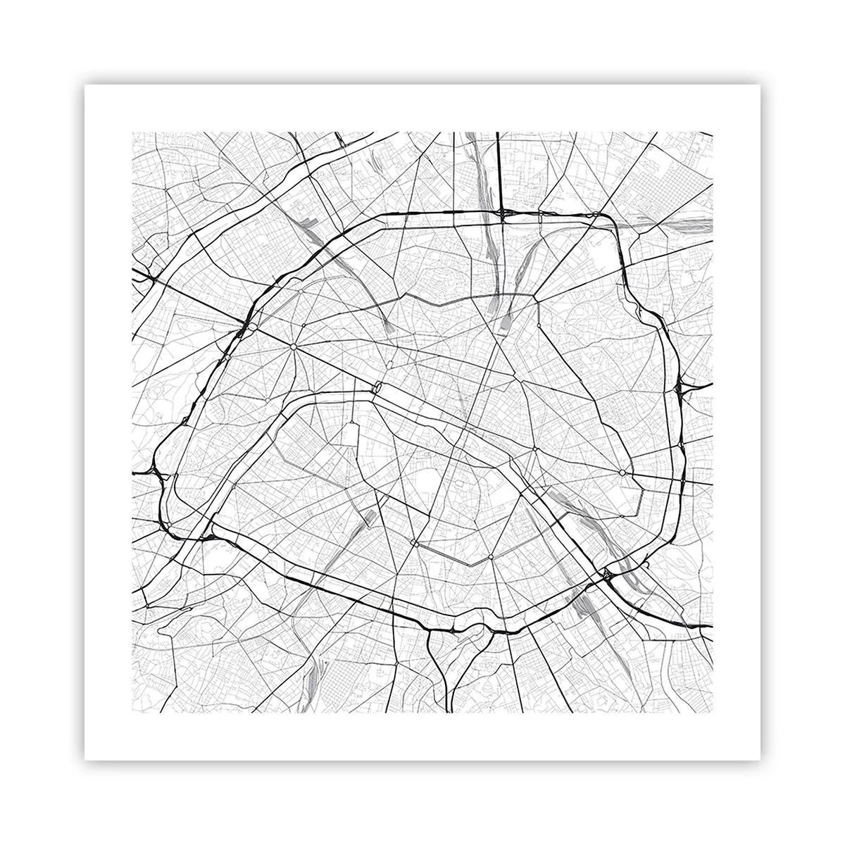 Poster - Il fiore di Parigi - 50x50 cm