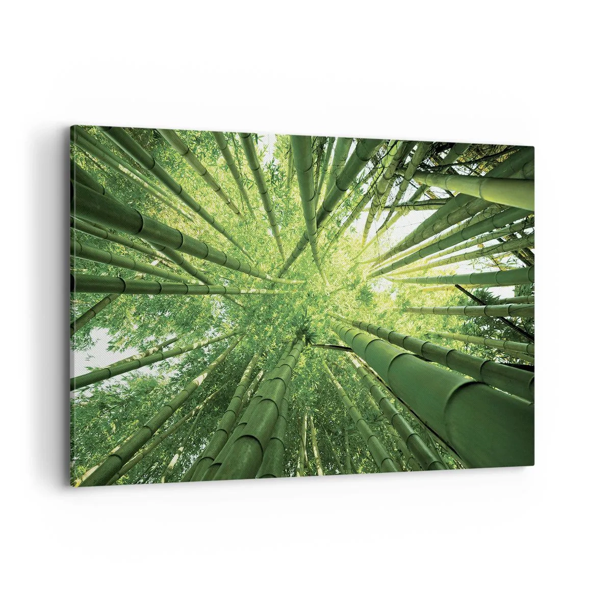 Quadro su tela - Stampe su Tela - Vista attraverso un boschetto di bambù verde - 120x80cm - Nella foresta di bambù - Decorazione murale moderna per soggiorno e camera da letto ARTTOR